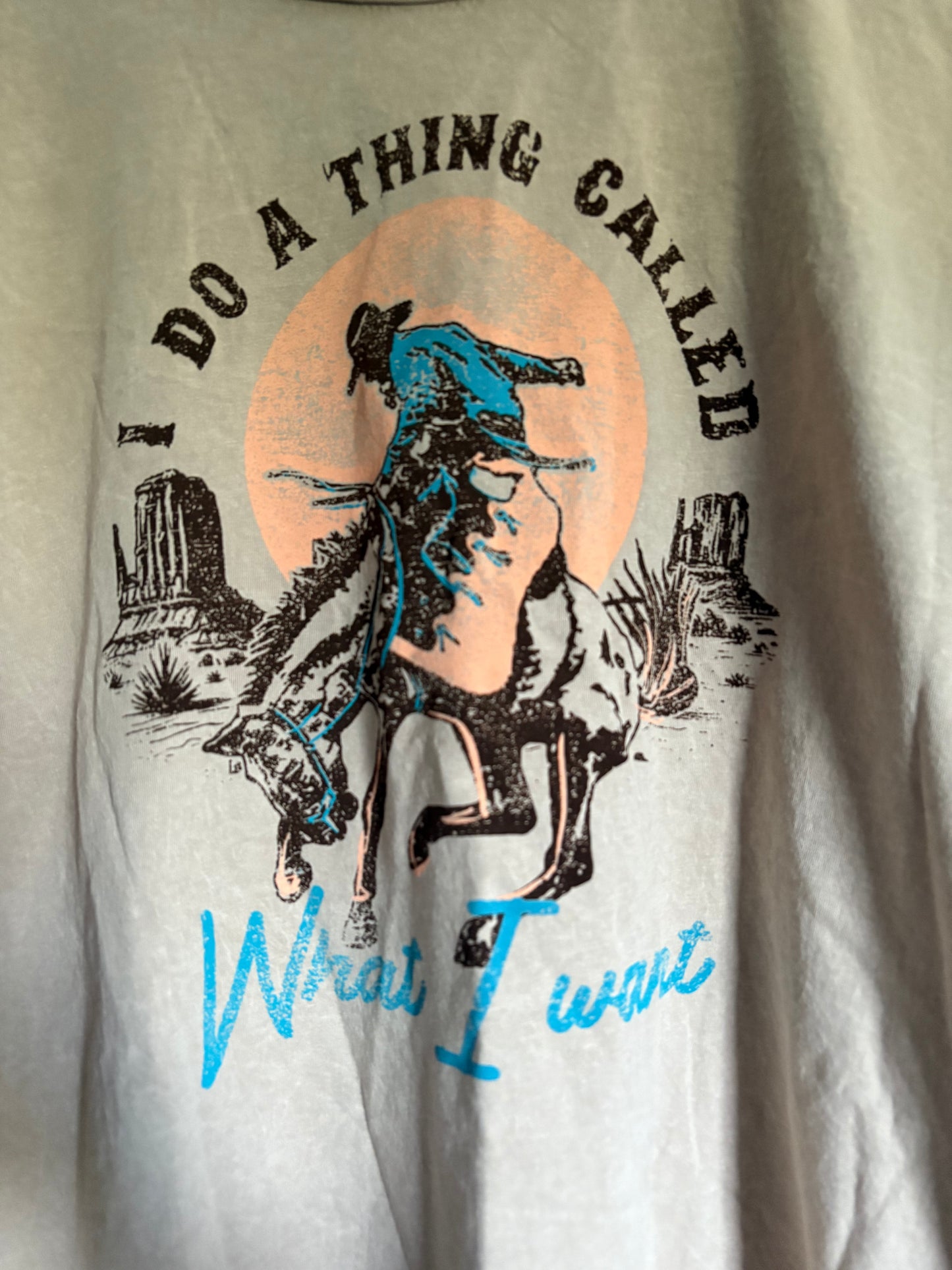What I Want T-Shirt