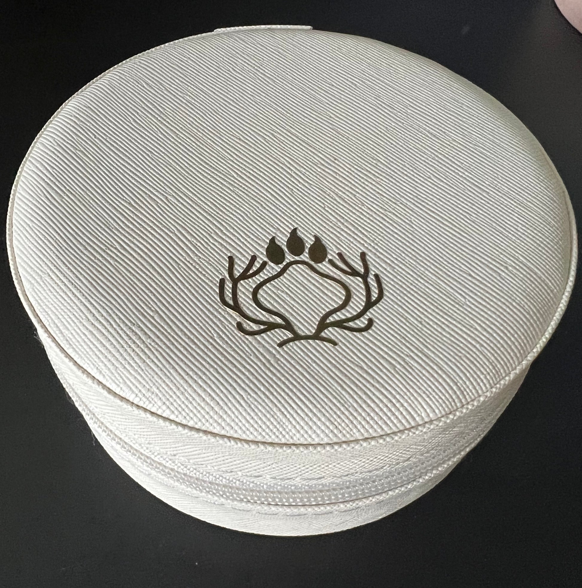 Small pandora 2025 jewellery box