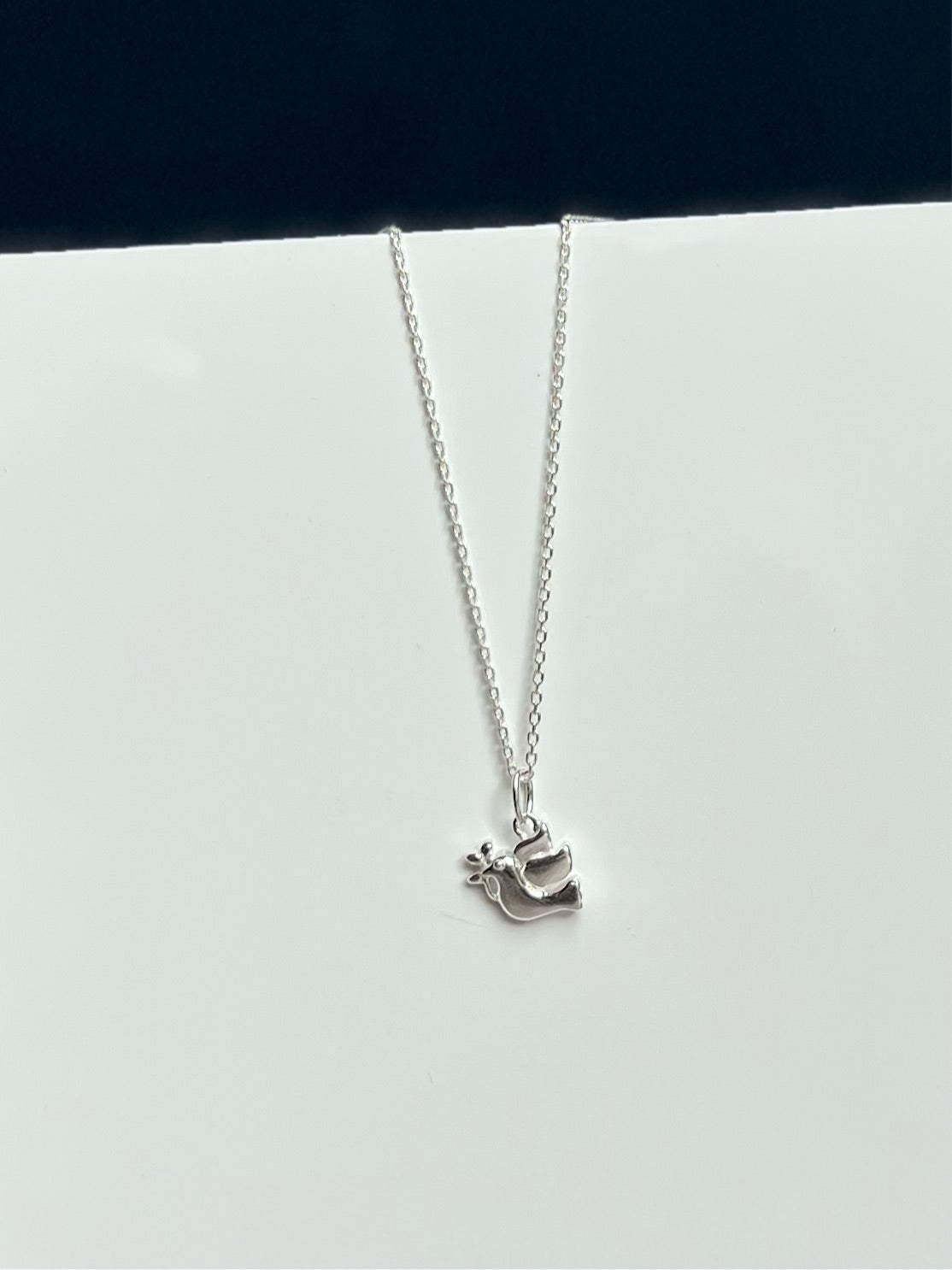 Hidden Meanings Necklace